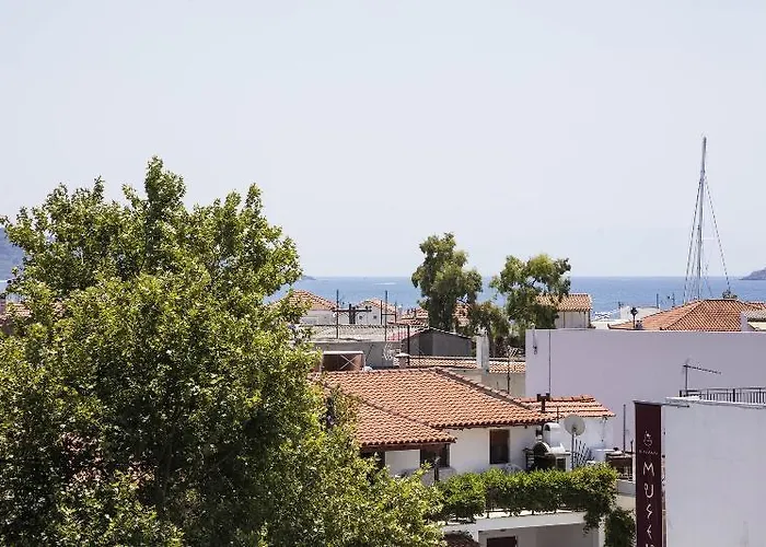 Entelia 3* مدينة سكياثوس